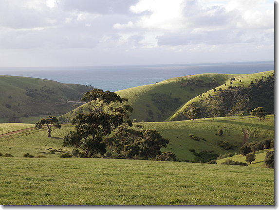 rolling hills