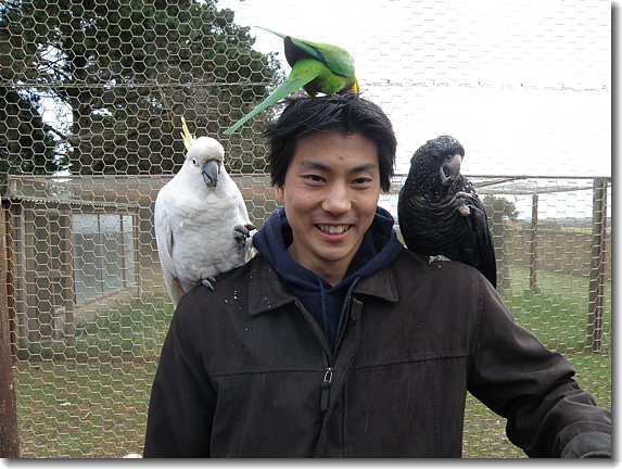 birds with Satoshi