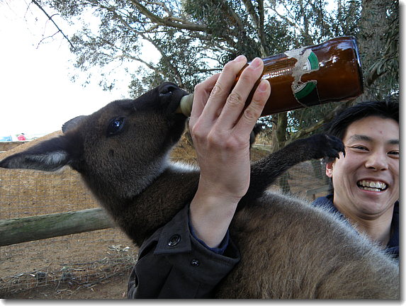 Satoshi holding kangaroo